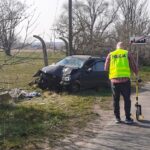 Lubuska Policja