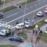 Fot. ALERT Zielona Góra