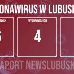 Redakcja/Grafika poglądowa