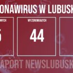 Redakcja/Grafika poglądowa