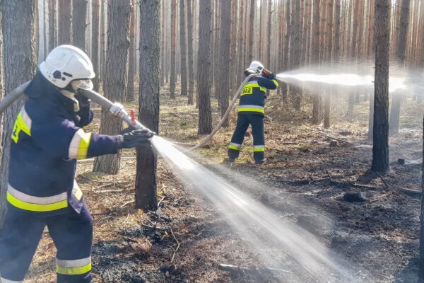 Fot. OSP Świdnica