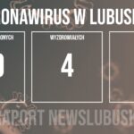 Redakcja/Grafika poglądowa