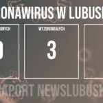 Redakcja/Grafika poglądowa