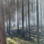Fot. OSP Dąbie