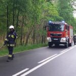 Fot. OSP Osiecznica, OSP Dąbie