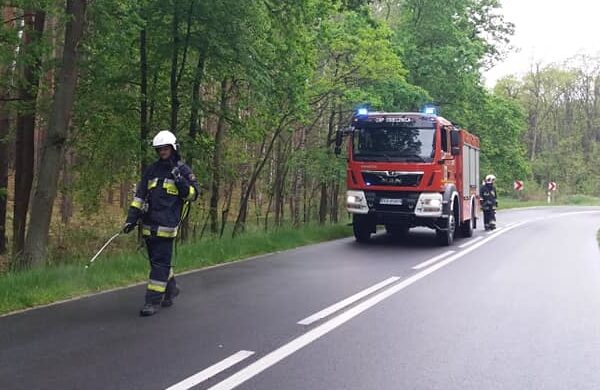 Fot. OSP Osiecznica, OSP Dąbie