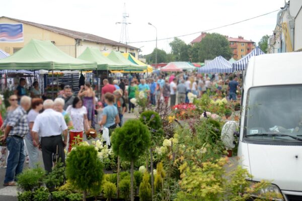 Fot. Zielonogórski Rynek Rolno-Towarowy/Zdjęcie poglądowe