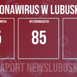Redakcja/Grafika poglądowa