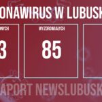 Redakcja/Grafika poglądowa