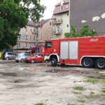 Redakcja