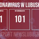 Redakcja/Grafika poglądowa
