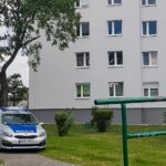 Redakcja