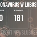 Redakcja/Zdjęcie poglądowe