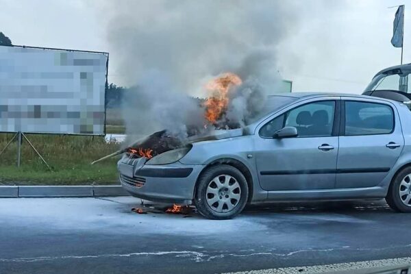 Fot. ALERT Zielona Góra