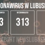 Redakcja/Grafika poglądowa