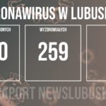 Redakcja/Grafika poglądowa
