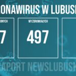 Redakcja/Grafika poglądowa
