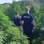 Fot. KMP Zielona Góra