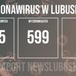 Redakcja/Grafika poglądowa