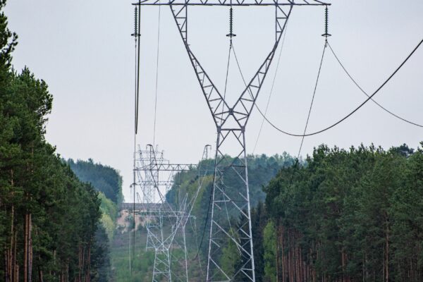 Zdjęcie poglądowe