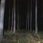 Redakcja/Zdjęcie poglądowe