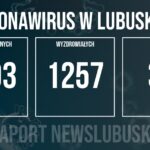 Redakcja/Grafika poglądowa