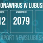 Redakcja/Grafika poglądowa