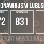 Redakcja/Zdjęcie poglądowe