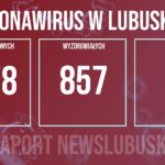 Redakcja/Grafika poglądowa