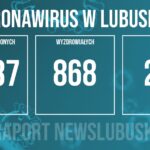 Redakcja/Grafika poglądowa