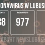 Redakcja/Grafika poglądowa