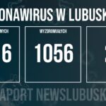 Redakcja/Grafika poglądowa