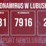 Redakcja/Grafika poglądowa