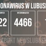 Redakcja/Grafika poglądowa