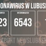 Redakcja/Grafika poglądowa