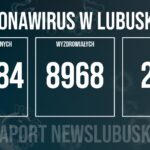 Redakcja/Grafika poglądowa