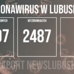 Redakcja/Grafika poglądowa