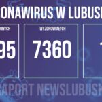 Redakcja/Grafika poglądowa