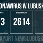 Redakcja/Grafika poglądowa