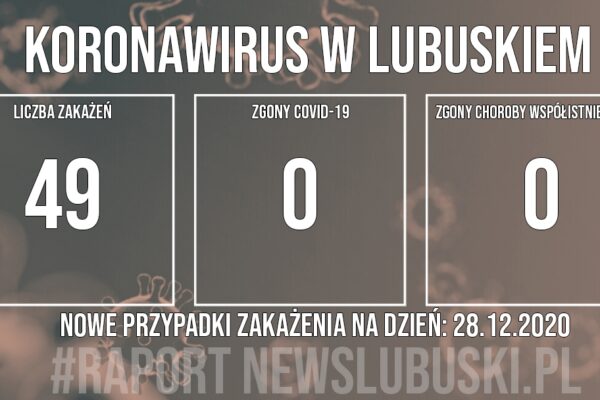 Redakcja/Grafika poglądowa