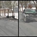 Fot. ALERT Zielona Góra