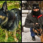 Fot. KPP Sulęcin