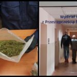 Fot. KMP Zielona Góra