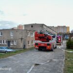 IMG-20210408-WA0018