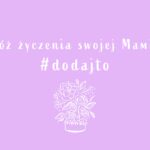 Redakcja