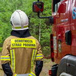 CwiczeniaPozarLasu28