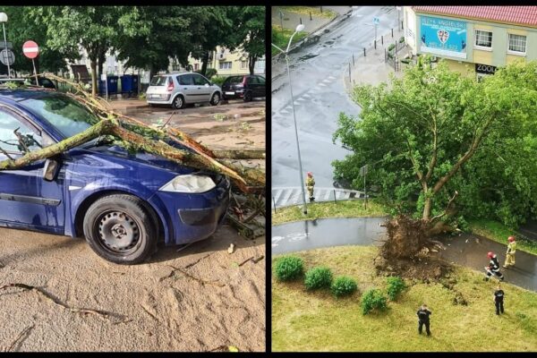 Fot. Stoją! Gorzów