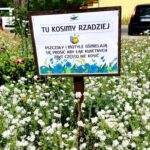 Fot. UM Nowa Sól