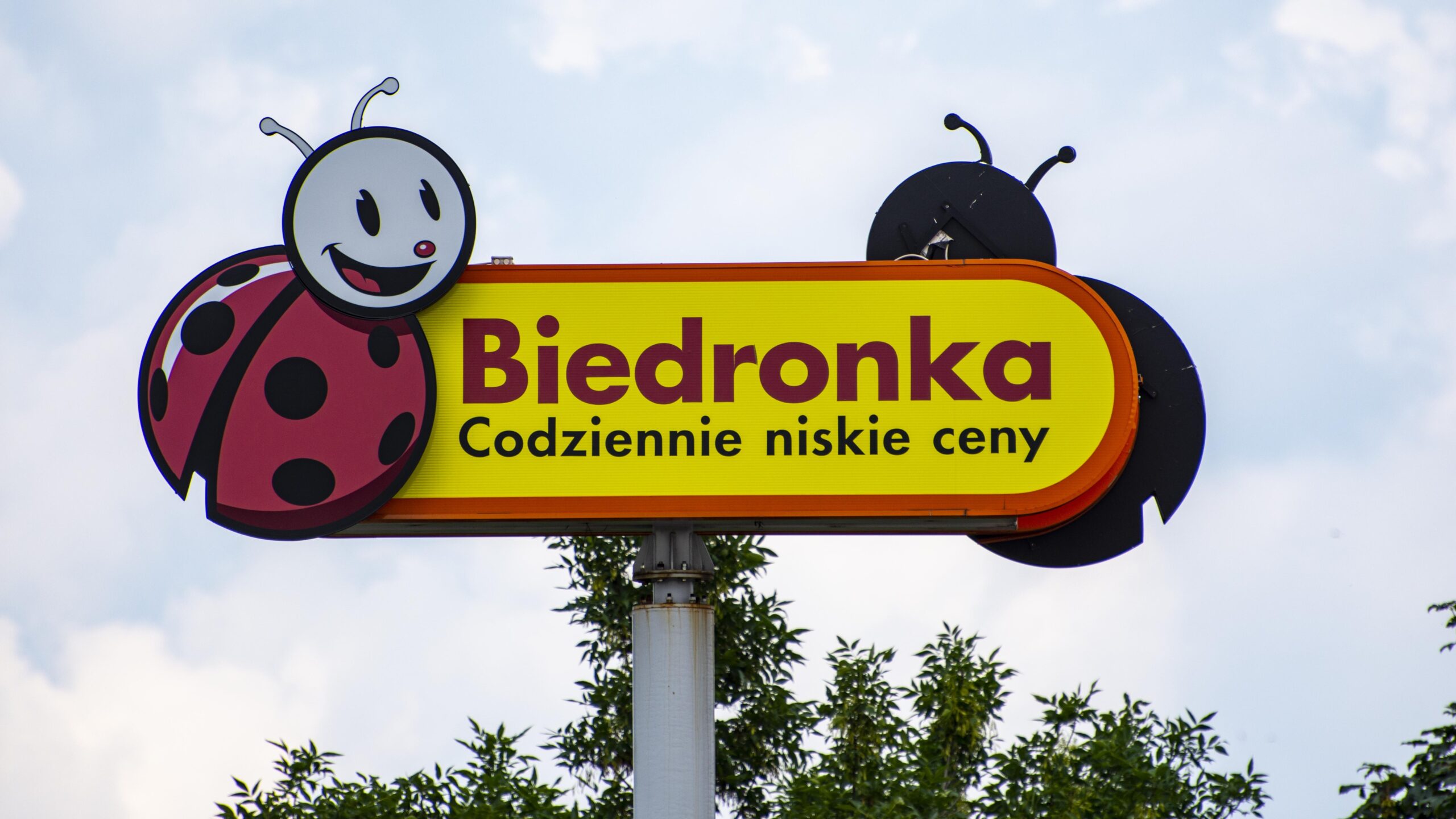 Redakcja/Archiwum