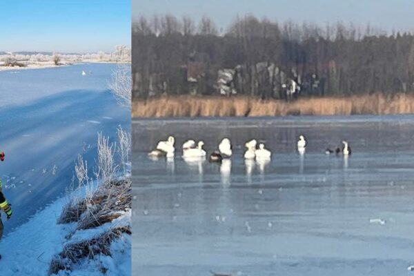 Fot. OSP Deszczno, OSP Lipki Wielkie